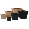 Floreiras elevadas para jardim 3 pcs jacinto de água - Image 2