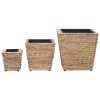 Floreiras elevadas para jardim 3 pcs jacinto de água - Image 3
