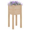 Vaso/floreira de jardim 31x31x70 cm pinho maciço - Image 3