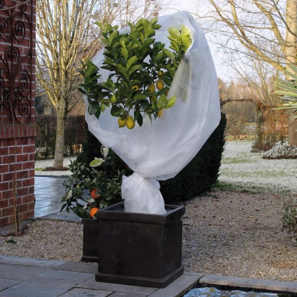 Nature Protetor de plantas contra geada 30 g/m² 1x10 m branco - Image 3