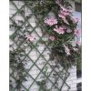 Nature Treliças de jardim 2 pcs 100x200 cm PVC verde - Image 2