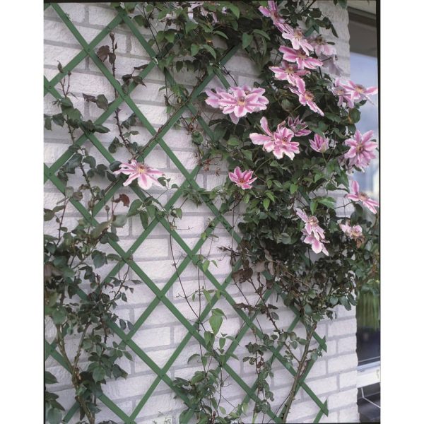 Nature Treliças de jardim 2 pcs 100x200 cm PVC verde - Image 2