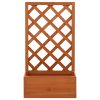 Vaso com treliça para jardim 50x25x90 cm abeto maciço laranja - Image 2