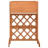 Vaso com treliça para jardim 45x30x74 cm abeto maciço laranja - Image 2