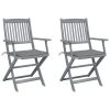 Cadeiras exterior dobráveis c/ almofadões 2 pcs acácia maciça