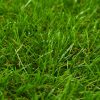 Relva artificial 1x5 m/30 mm verde - Image 2