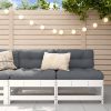 Sofás de centro para jardim 2 pcs madeira pinho maciça branco