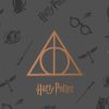 BOUTI 100 GR REVERSIBLE MODELO DEATHLY HALLOWS PARA CAMA DE 180 (280X270CM.) - Image 3