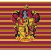 FUNDA NÓRDICA CON BOTONES 100% ALGODÓN MODELO GRYFFINDOR SHIELD PARA CAMA DE 135/140 (220X240 CM) - Image 7