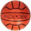 PELOTA BIOBALL 220 MM SUPER SANTOS, 350G. - Image 3