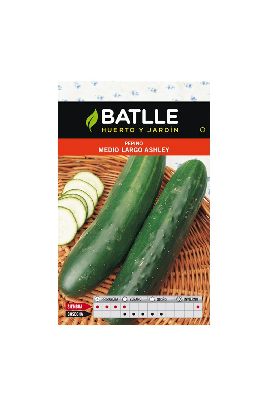 PEPINO ASHLEY MEDIO LARGO SOBRE