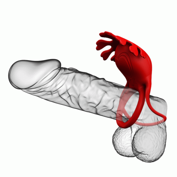 PRETTY LOVE - ANEL VIBRADOR RUBEN 7 VIBRAÕES SILICONE VERMELHO - Image 10