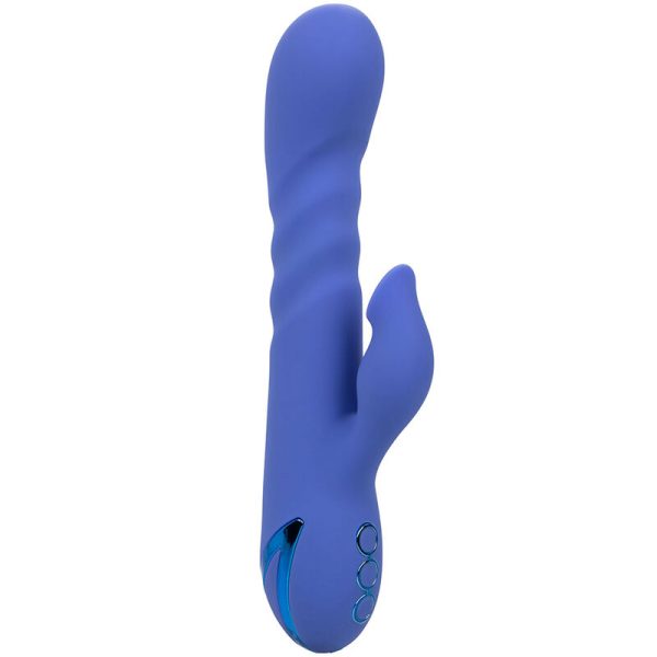 CALIFORNIA EXOTICS - LA LOVE VIBRADOR & SUCKER BLUE POR CALIFORNIA DREAMING - Image 4