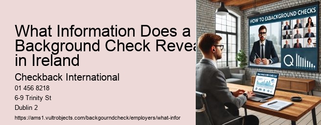 What Information Does a Background Check Reveal in Ireland