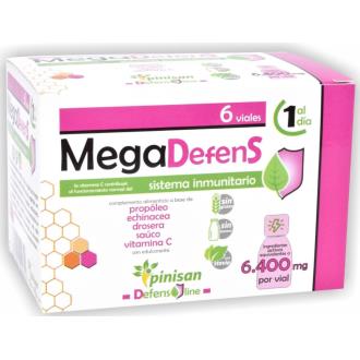 MEGA DEFENS 6amp.