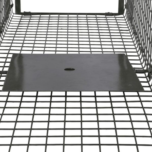 Armadilha com 2 portas - Image 3