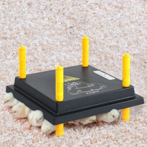 Placa de aquecimento para pintos e patinhos 25x25 cm