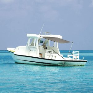 Extensão de toldo em T 170x170x(115-183) cm antracite