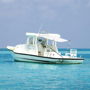 Conj. extensão de toldo em T 174x205x (115-194) cm branco