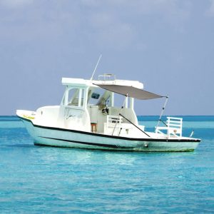 Conj. extensão de toldo em T 174x205x (115-194) cm antracite