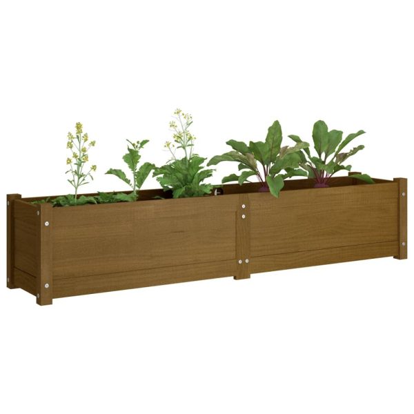 Canteiro elevado jardim 150x31x31 cm pinho maciço castanho-mel - Image 3