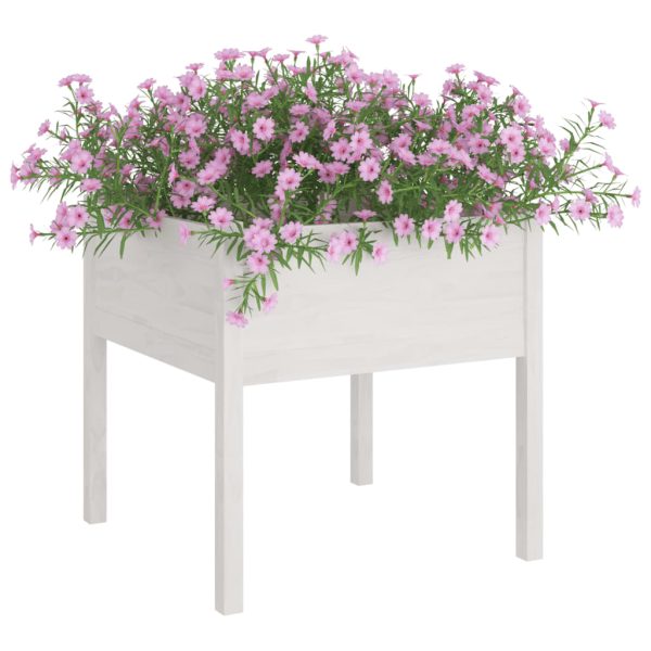 Vaso de jardim 70x70x70 cm madeira de pinho maciça branco - Image 3