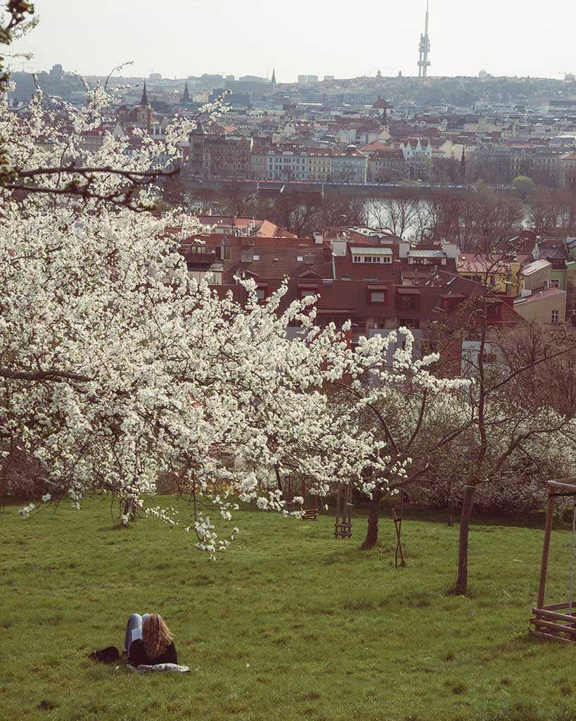 The Most “Instagrammable” Spots in Prague That Your Tita and Tito Will Love