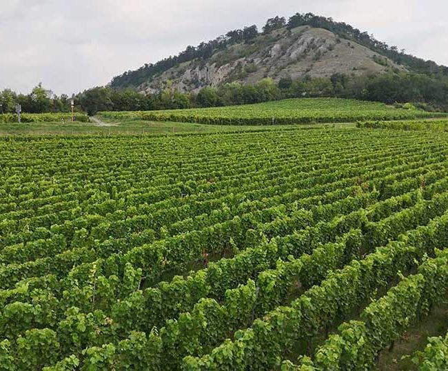 Hike, Bike, and Spa: Your 48-Hour Nature Escape from Prague