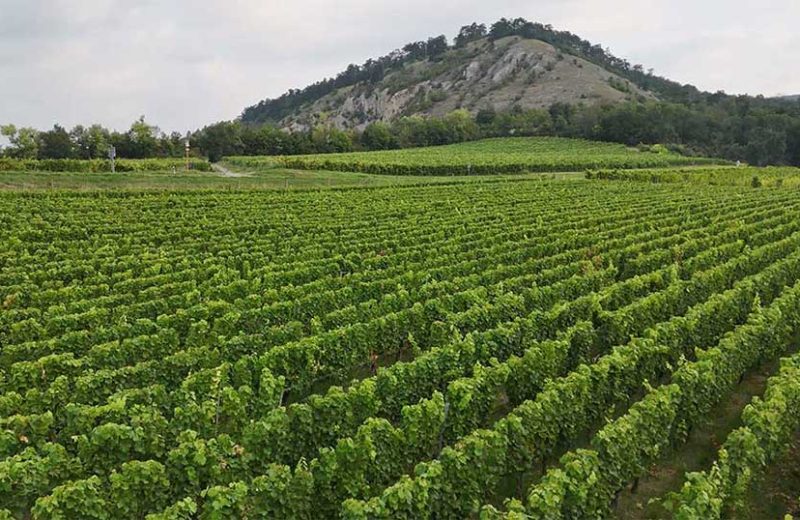 Hike, Bike, and Spa: Your 48-Hour Nature Escape from Prague