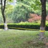 Slackline 15 m x 50 mm 150 kg amarelo