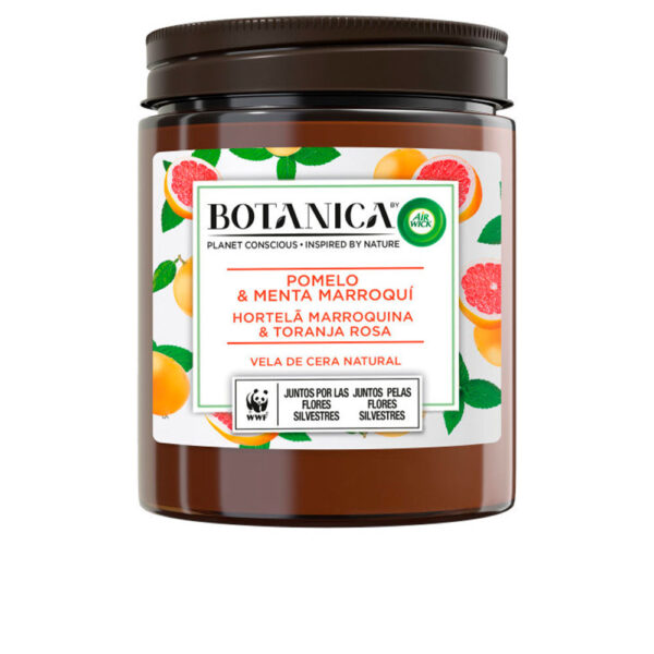 BOTANICA VELA toranja e hortelã 205 gr