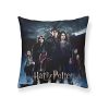 CAPA DE ALMOFADA CÁLICE DE FOGO 50X50 HARRY POTTER