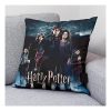 CAPA DE ALMOFADA CÁLICE DE FOGO 50X50 HARRY POTTER - Image 2