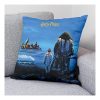 CAPA DE ALMOFADA 50X50 HARRY POTTER PEDRA FILOSOFAL - Image 2