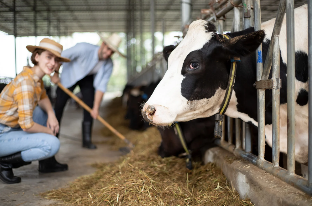 Agriculture and animals