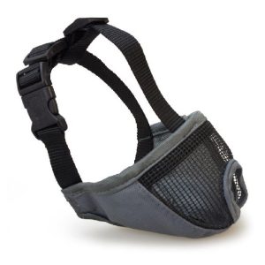 Bozal perros Hocico Corto S/31cm
