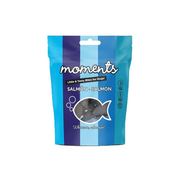 DNG MOMENTS DOG (SALMON 60 GR)