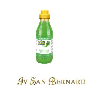 ISB FRUITS CHAMPU MENTA (500 ML)