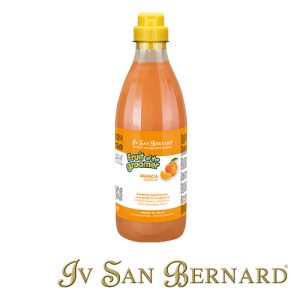 ISB FRUITS CHAMPU ARANCIA (1000 ML)