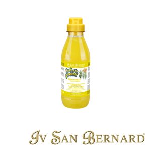 ISB FRUITS CHAMPU ZENZERO E SAMBUCO (500 ML)
