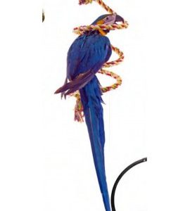 AROS DE COLORES Y CAMPANA