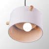 Lampada Pendurada "Averie"  [SKD-P1013-OG] - Image 17