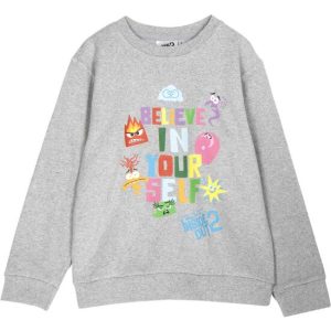 SUDADERA COTTON BRUSHED PIXAR INSIDE OUT