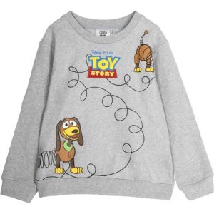 SUDADERA COTTON BRUSHED TOY STORY