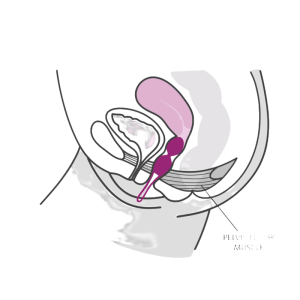 FUN FACTORY - SMARTBALLS PELVIC BALLS DUO BRANCO / PISTACHIO - Image 2