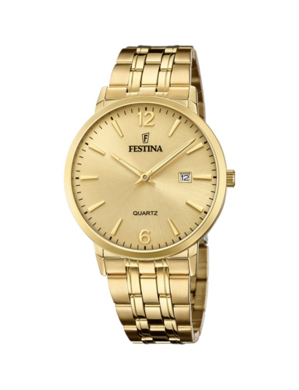 Festina Classics F20513/3