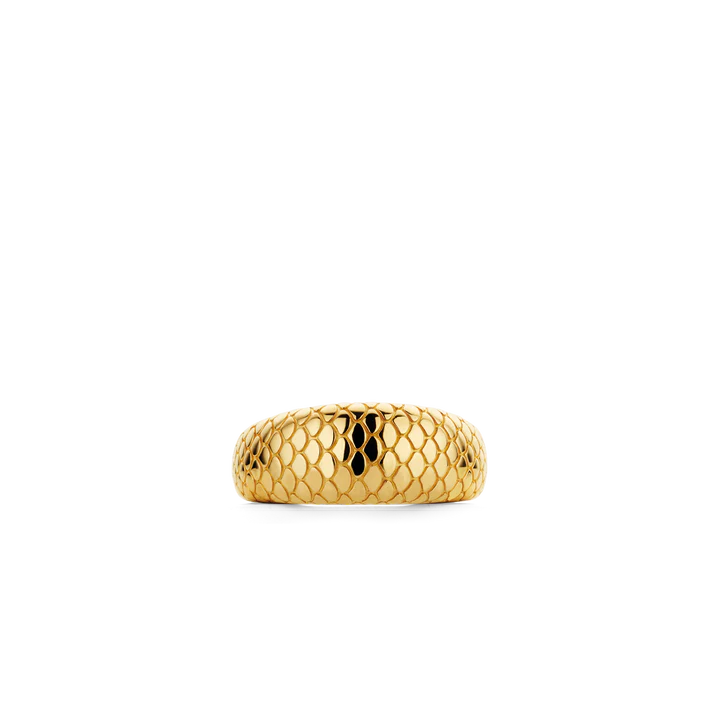 Anel TI SENTO 12162SY/58