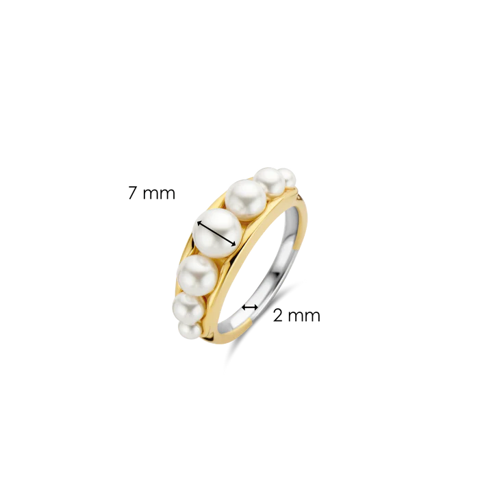 Anel TI SENTO 12232PW