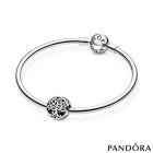 Conta PANDORA Family Roots