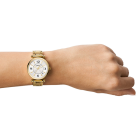 Relógio FOSSIL Carlie ES5159